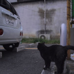 黒猫parking02