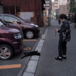 黒猫parking05