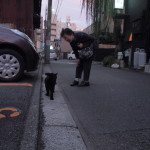黒猫parking08