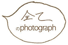 全てのphotograph